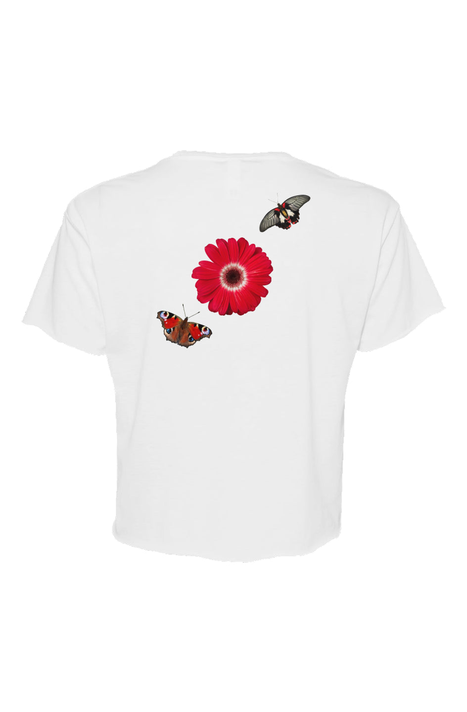 ctgn Womens Cali Crop