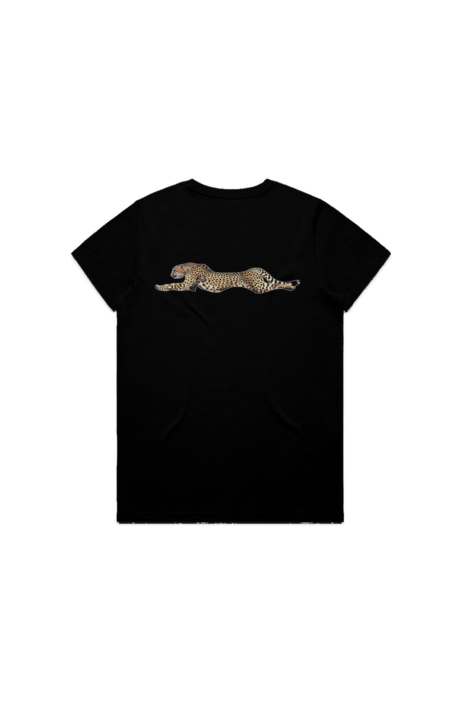 CTGN CHEETAH
