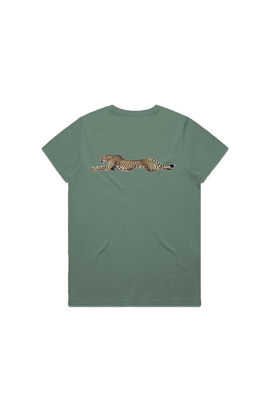 CTGN CHEETAH