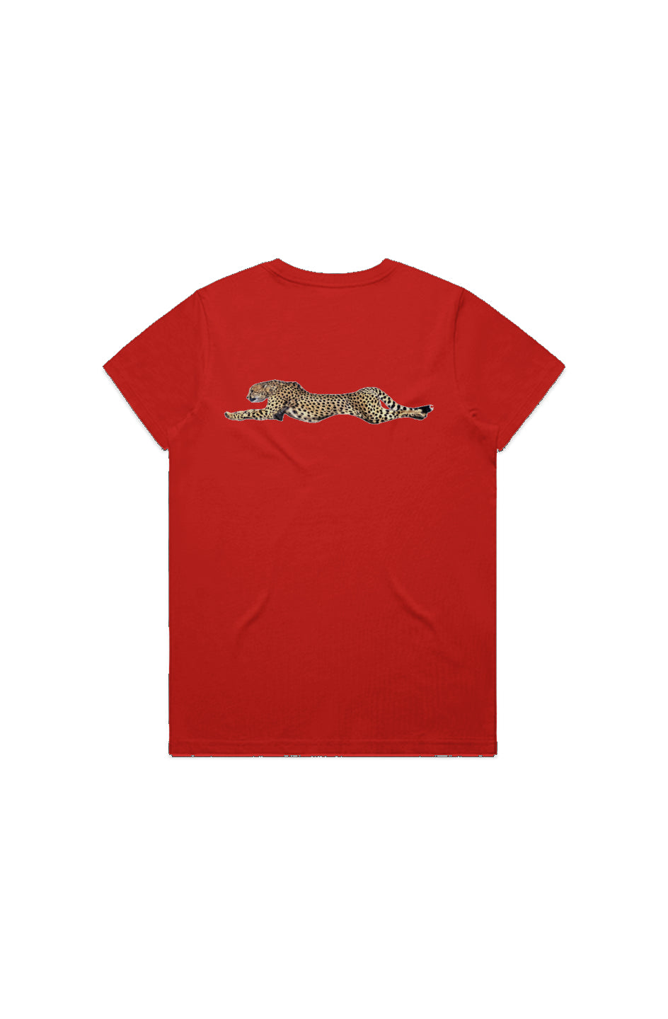 CTGN CHEETAH