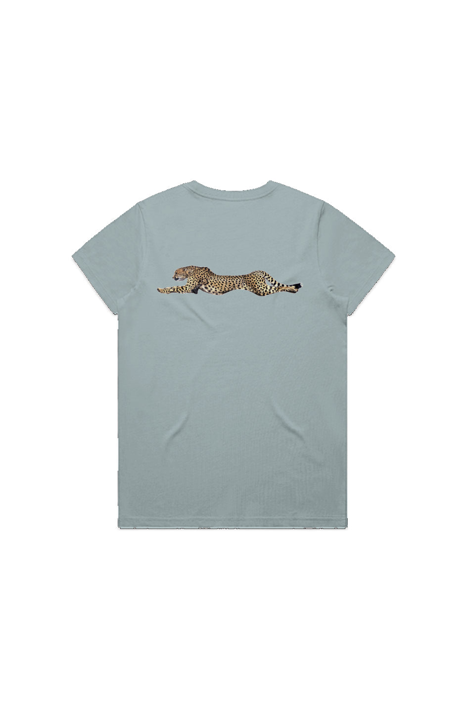 CTGN CHEETAH