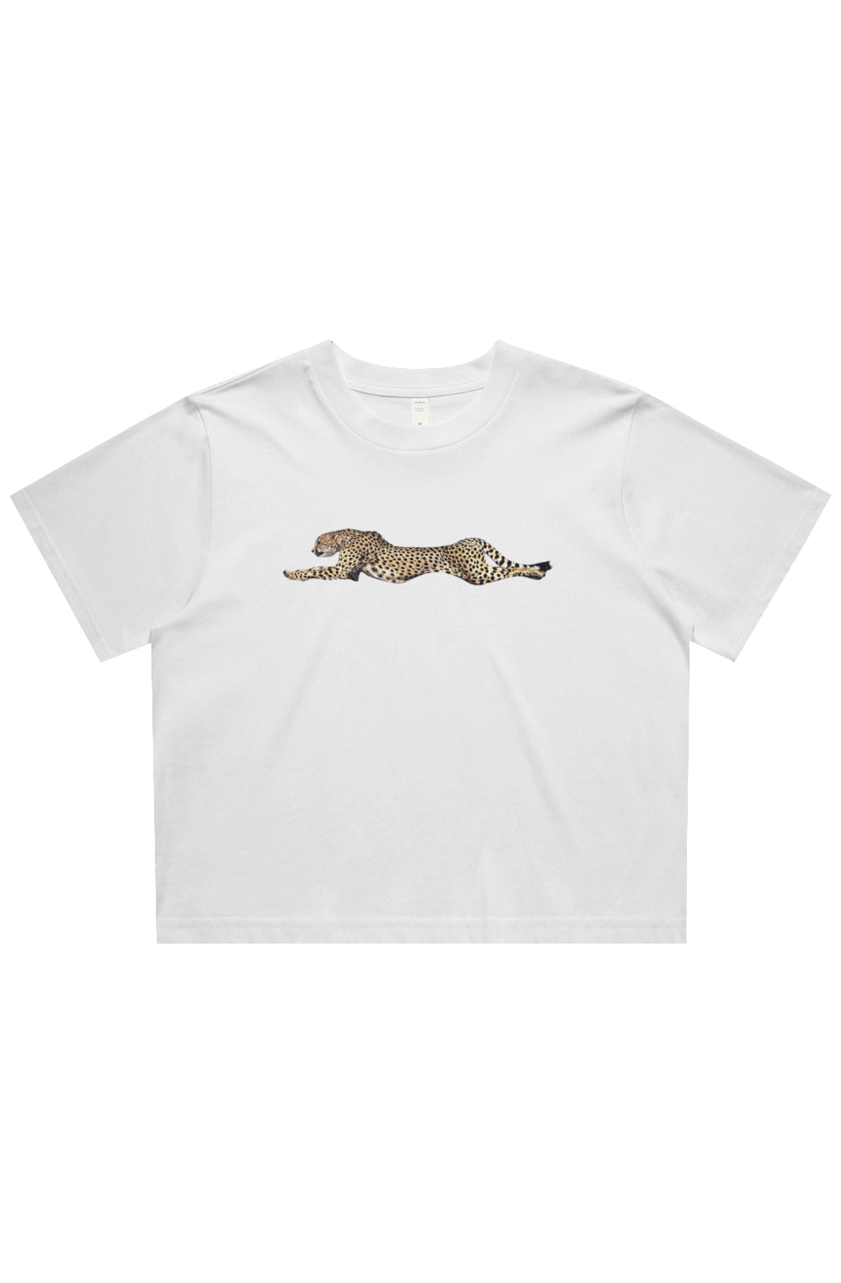CHEETAH CROP
