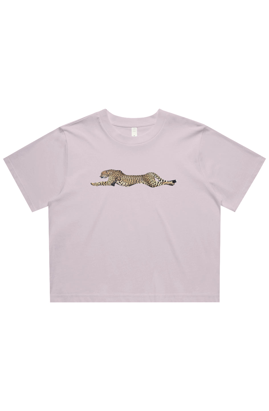 CHEETAH CROP